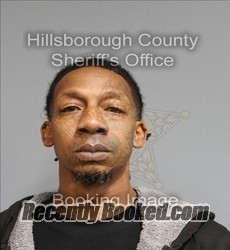 Recent Mugshot Image for JEROME DAVID JR GRADDIC in Hillsborough County, Florida