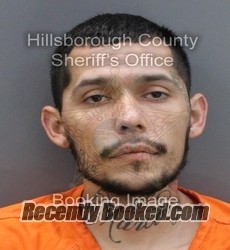 Recent Mugshot Image for MARCOS ANTONIO RODRIGUEZ in Hillsborough County, Florida