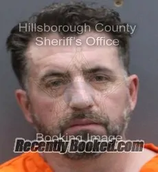 Recent Mugshot Image for BRIAN JON TETRO in Hillsborough County, Florida