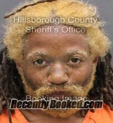 Recent Mugshot Image for DEQUAN MILEEK TOUSSAINT in Hillsborough County, Florida