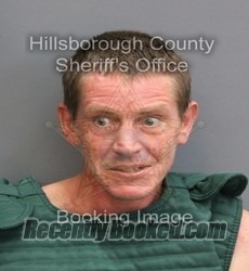 Recent Mugshot Image for ANTHONY ARTHUR BOATWRIGHT in Hillsborough County, Florida