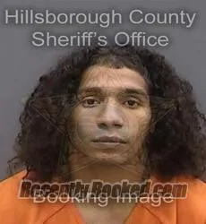 Recent Mugshot Image for BRYANT ALEXI BERROA in Hillsborough County, Florida