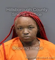 Recent Mugshot Image for TIYAH BASHON SNEAD in Hillsborough County, Florida