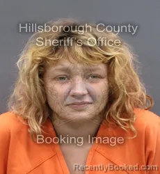Recent Mugshot Image for ASHLEE ROSE NEWSOME in Hillsborough County, Florida