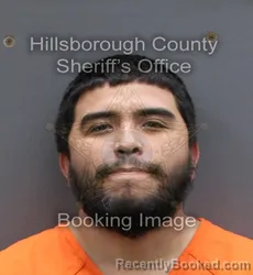 Recent Mugshot Image for PEDRO ALEXIS CARDENAS in Hillsborough County, Florida