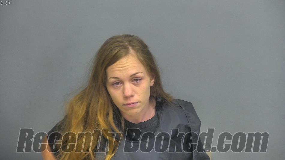 Recent Mugshot Image for AMANDA DALE PHELPS in Amherst County, Virginia