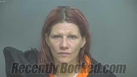 Recent Mugshot Image for CRISTAL GAYLE JOHNSON in Amherst County, Virginia