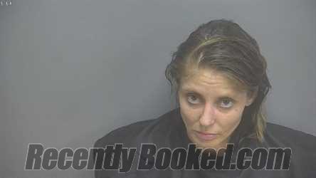 Recent Mugshot Image for COURTNEY LEIGH VEST in Amherst County, Virginia