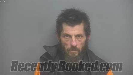 Recent Mugshot Image for LEWIS EDWARD FIELDS in Amherst County, Virginia