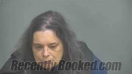 Recent Mugshot Image for TINA DEE FLYNN in Amherst County, Virginia