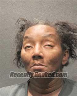 Recent Mugshot Image for NEFERTARI D BIRCHETT in Arlington County, Virginia