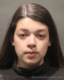Recent Mugshot Image for AMBER LEIGH SANTA ANA in Arlington County, Virginia