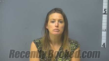 Recent Mugshot Image for JESSICA CLEWIS ROBINETT in Augusta County, Virginia