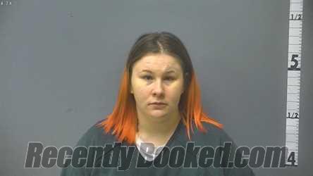 Recent Mugshot Image for LANIE LEIGH PAIGE RIDDLE in Augusta County, Virginia