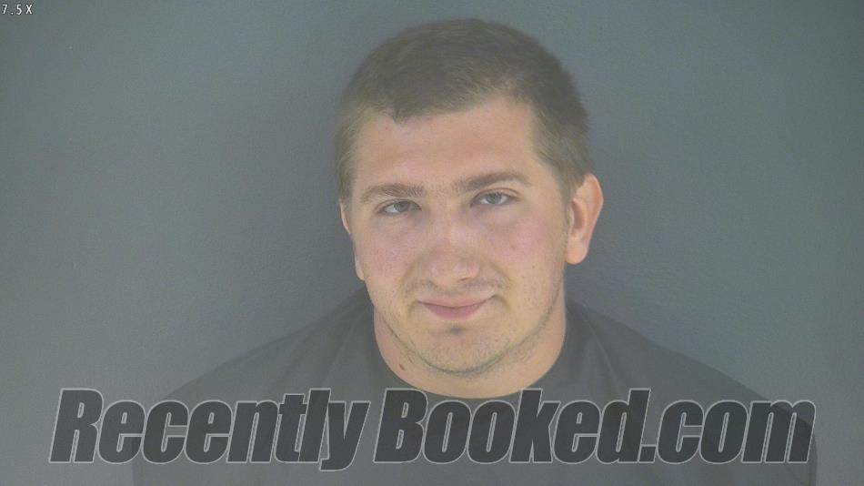 Recent Mugshot Image for TYLER STEVEN PALMER in Bedford County, Virginia