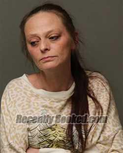 Recent Mugshot Image for APRIL LYNN STANLEY in Bland County, Virginia