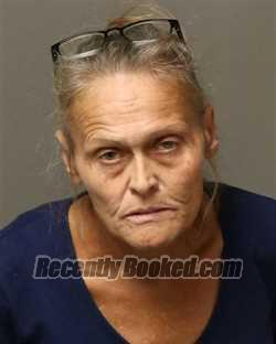 Recent Mugshot Image for ANGELA RUTH PARKS in Bland County, Virginia