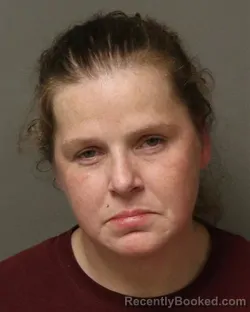 Recent Mugshot Image for MICHOLE RENEE BOYD in Bland County, Virginia