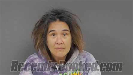 Recent Mugshot Image for Margaret Mary Higgins in Botetourt County, Virginia