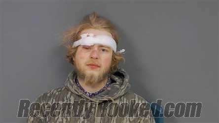 Recent Mugshot Image for Logan Paul Strazzella in Botetourt County, Virginia