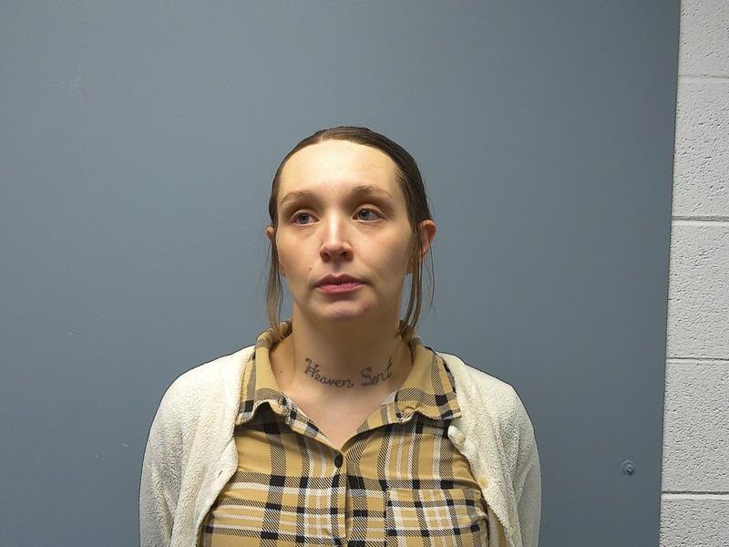 Recent Mugshot Image for Lindsay Roxan Johnson in Buchanan County, Virginia