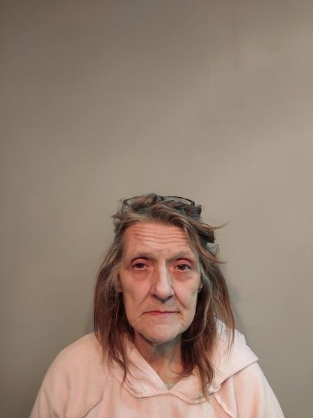 Recent Mugshot Image for Tamara Lynn Holbrook in Buchanan County, Virginia