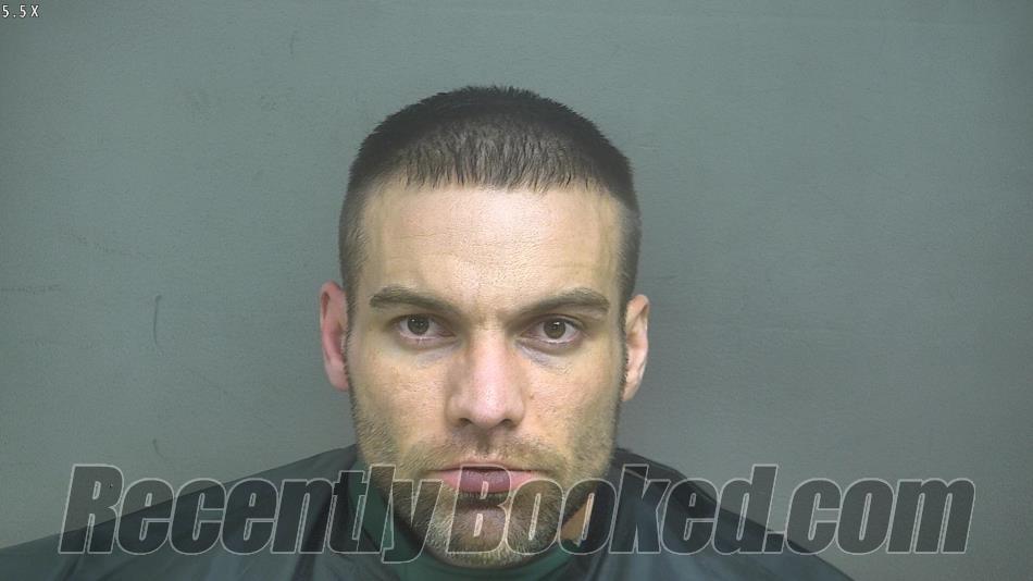 Recent Mugshot Image for SHANE MIKLE GOIN in Campbell County, Virginia