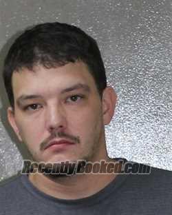 Recent Mugshot Image for BRIAN FINE in Charles City County, Virginia