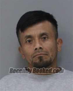 Recent Mugshot Image for ALFREDO CHE-TIUL in Charles City County, Virginia