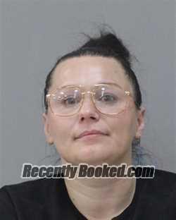 Recent Mugshot Image for DANIELLE NICOLE HARRIS in Charles City County, Virginia