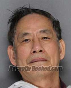 Recent Mugshot Image for HIEN THAI NGUYEN in Ellis County, Texas