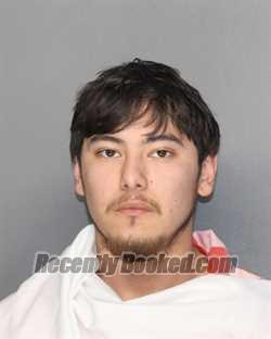 Recent Mugshot Image for IZAK GREGORIO FLORES in Ellis County, Texas