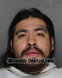 Recent Mugshot Image for SERGIO FLORES in Ellis County, Texas