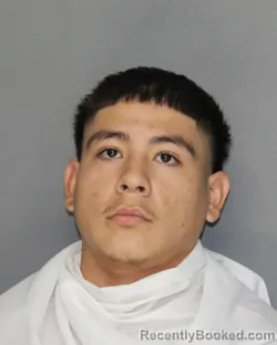 Recent Mugshot Image for CHRISTIAN POMPA in Ellis County, Texas