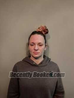 Recent Mugshot Image for Ashley Dawn Johnson in Dickenson County, Virginia