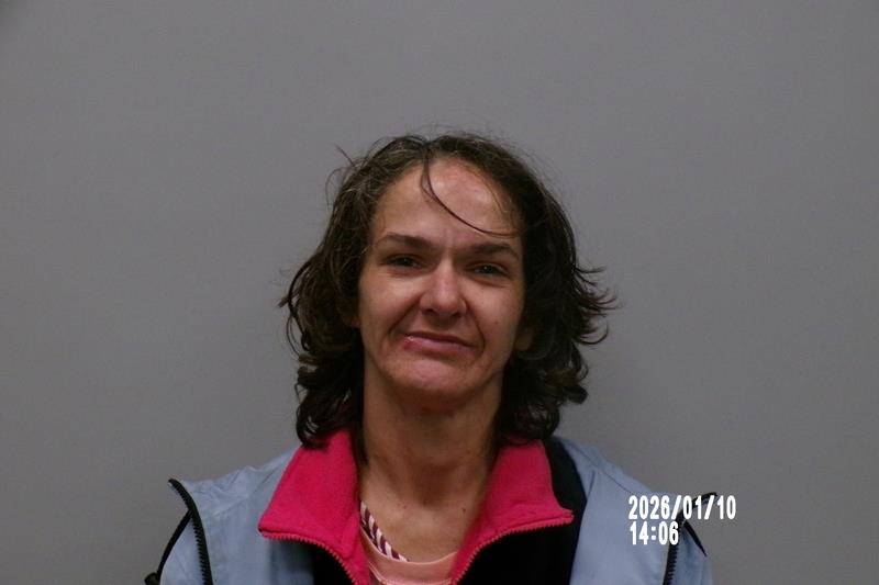 Recent Mugshot Image for Carol Kristina Feltner in Dickenson County, Virginia