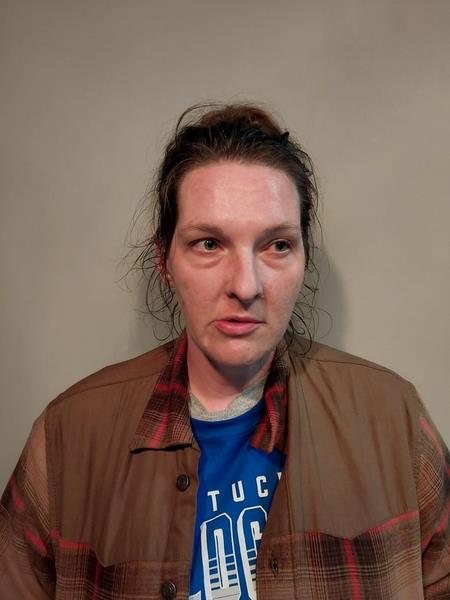 Recent Mugshot Image for Kayla Renee Mosley in Dickenson County, Virginia