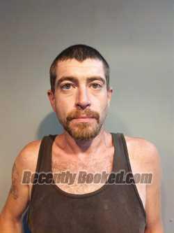 Recent Booking / Mugshot for Troy Lee Johnston in Dickenson County