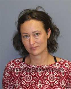 Recent Booking / Mugshot for ALYSSA BERRY in Frederick County, Virginia