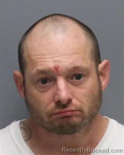 Recent Mugshot Image for MICHAEL WAYNE LYONS in Frederick County, Virginia