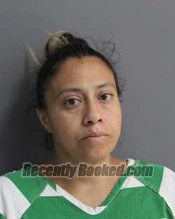 Recent Mugshot Image for RAQUEL GARCIA in Erath County, Texas