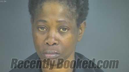 Recent Mugshot Image for DELORES ANN TERRY in Halifax County, Virginia