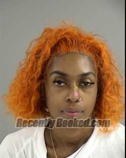 Recent Mugshot Image for SYDNEY SERAYA FREEMAN in Henrico County, Virginia