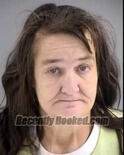Recent Mugshot Image for RHONDA LYNNE DAVIS in Henrico County, Virginia