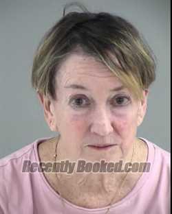 Recent Mugshot Image for TERRI ANNE FLEMING-DAVIS in Henrico County, Virginia