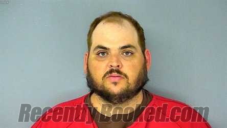 Recent Mugshot Image for JOSHUA BLAKE DAVIS in James City County, Virginia