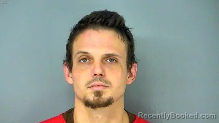 Recent Mugshot Image for PETER ELLIOTT NELSON in James City County, Virginia