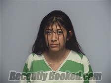 Recent Mugshot Image for JULIANA ISABELA TOJIL-BARRIENTOS in Roanoke County, Virginia