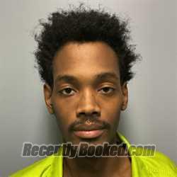 Recent Mugshot Image for JORDAN DAMANI PALMER in Roanoke County, Virginia