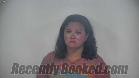 Recent Booking / Mugshot for AMANDA RENAE MILLER in Rockbridge County ...